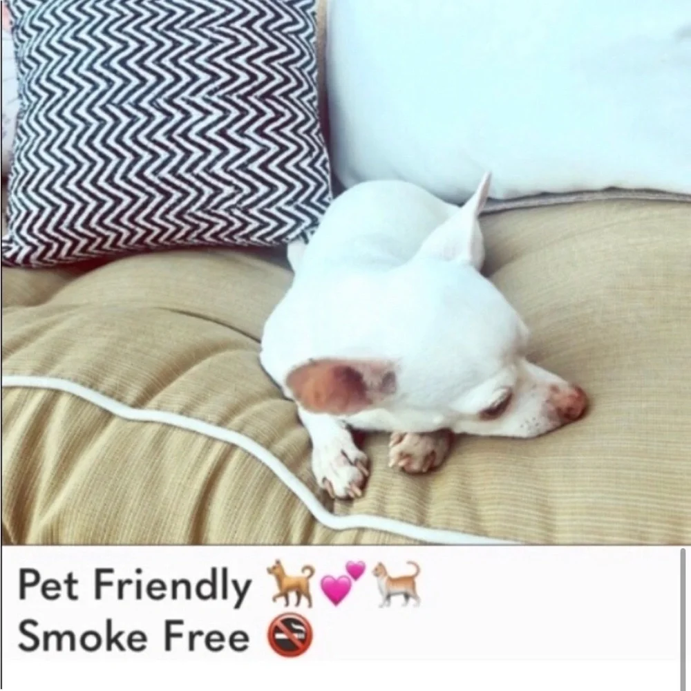 NWT Umgee Star Print Denim Jean Skirt Women’s Sz Large - Picture 7 of 7